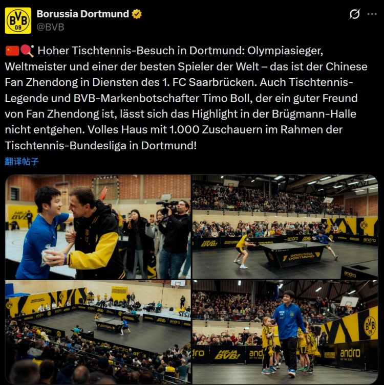 开云官方直播-樊振东随队客战多特吸引上千球迷观战，多特死忠波尔也来到现场